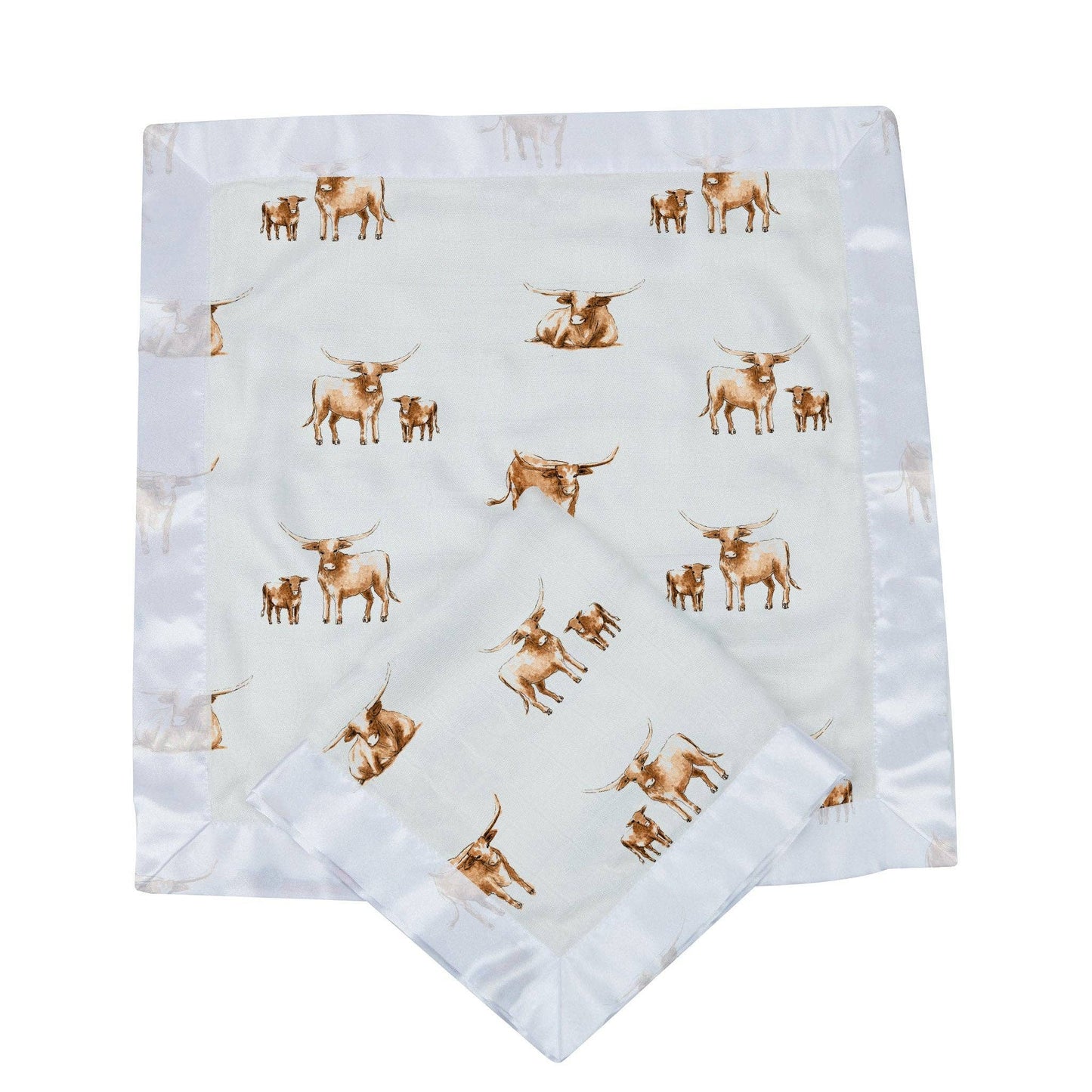 Longhorn Blankie