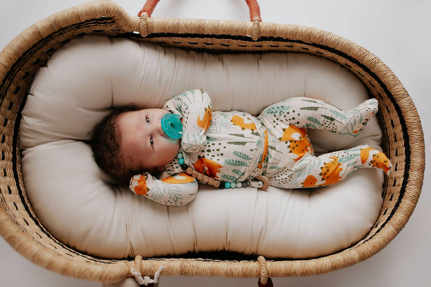Dinosaur Jammies