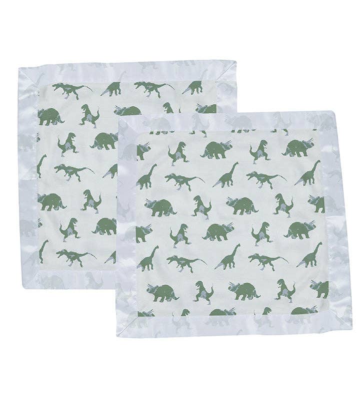Dinosaurs Blankie