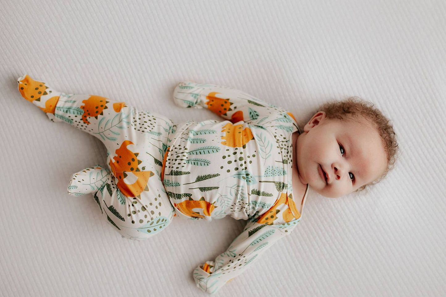 Dinosaur Jammies