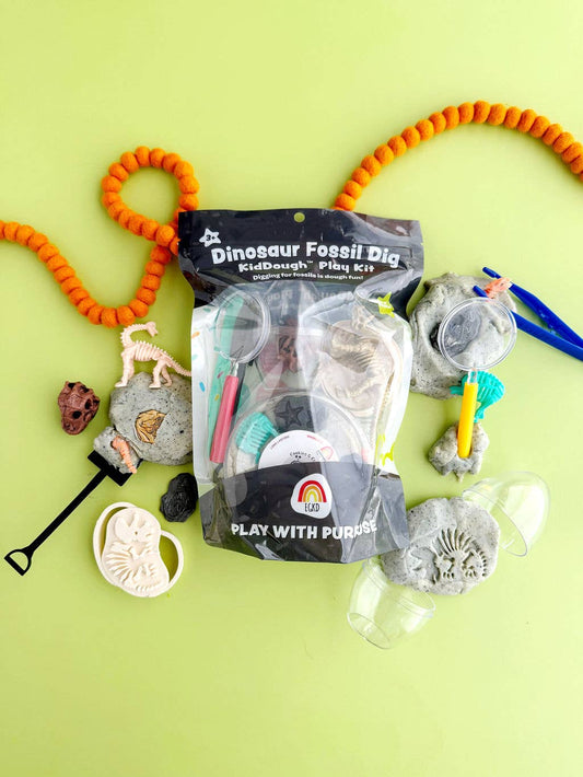 Dinosaur Fossil Dig Play Kit