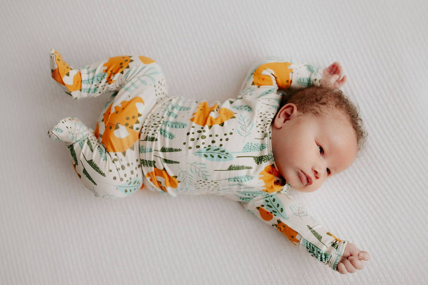 Dinosaur Jammies