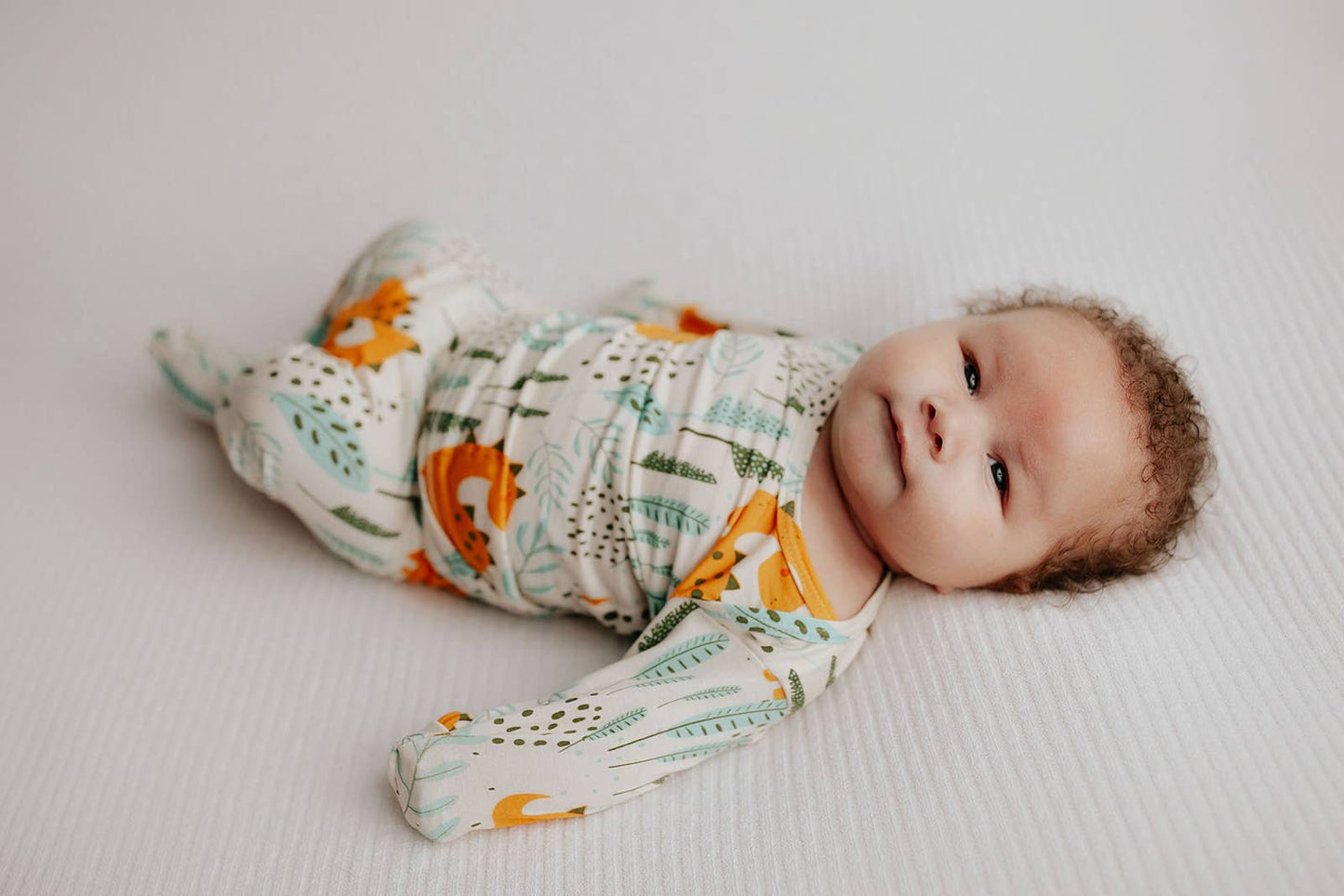 Dinosaur Jammies