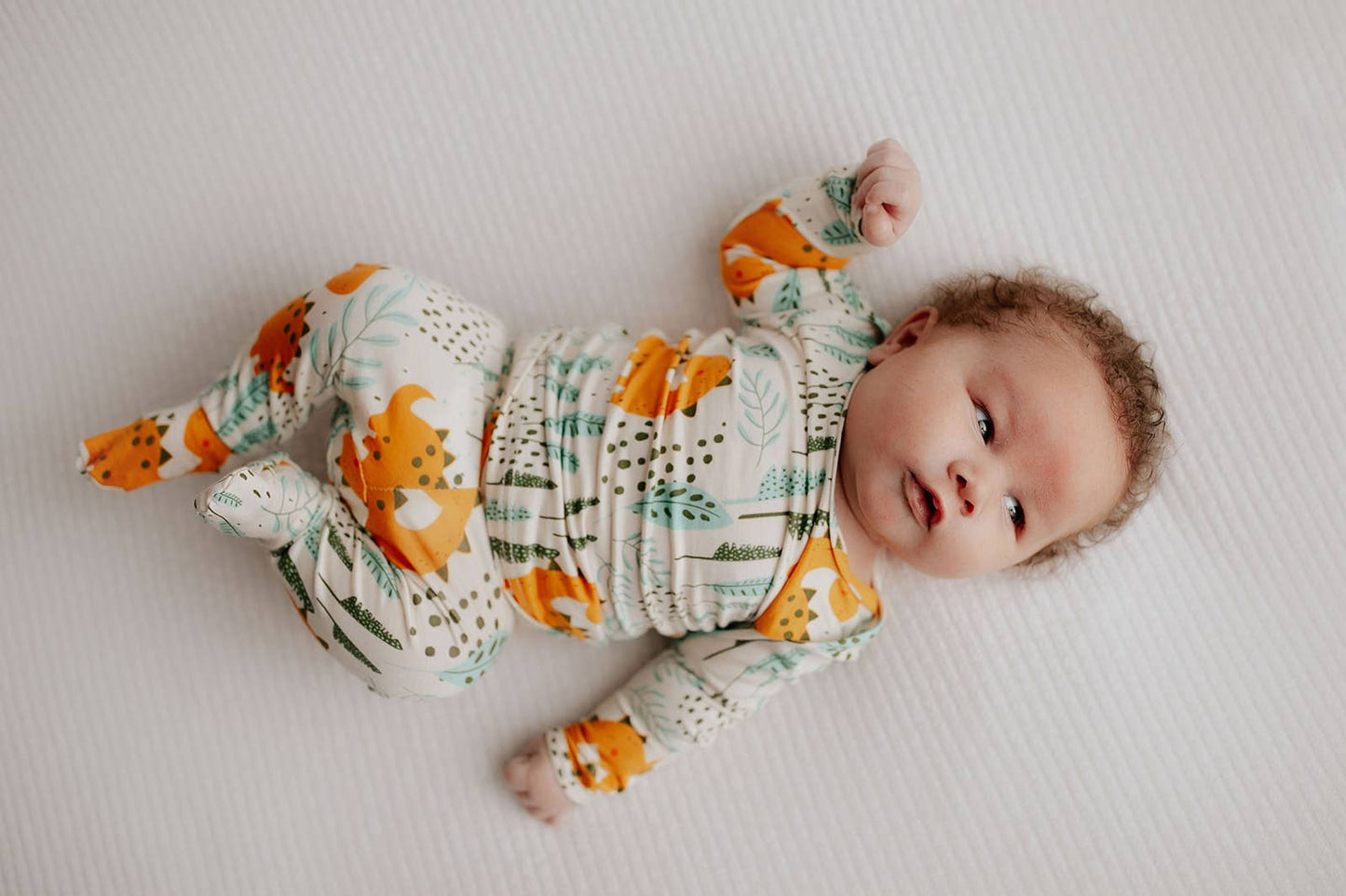 Dinosaur Jammies