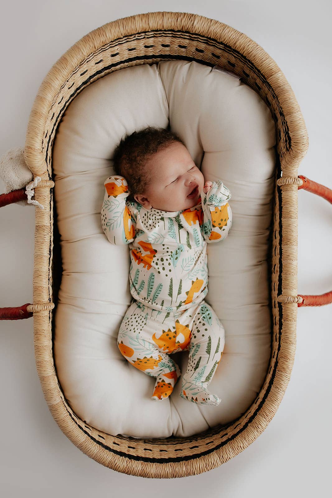 Dinosaur Jammies