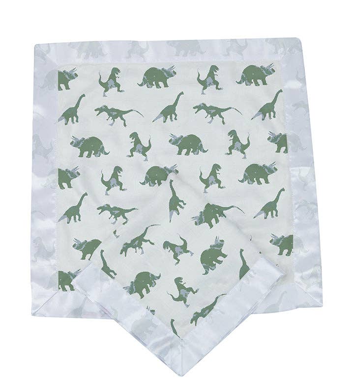 Dinosaurs Blankie
