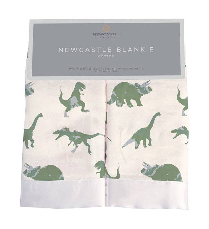 Dinosaurs Blankie