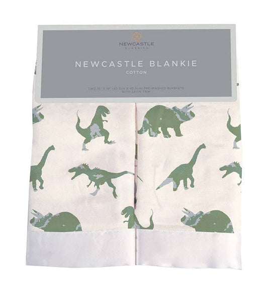Dinosaurs Blankie