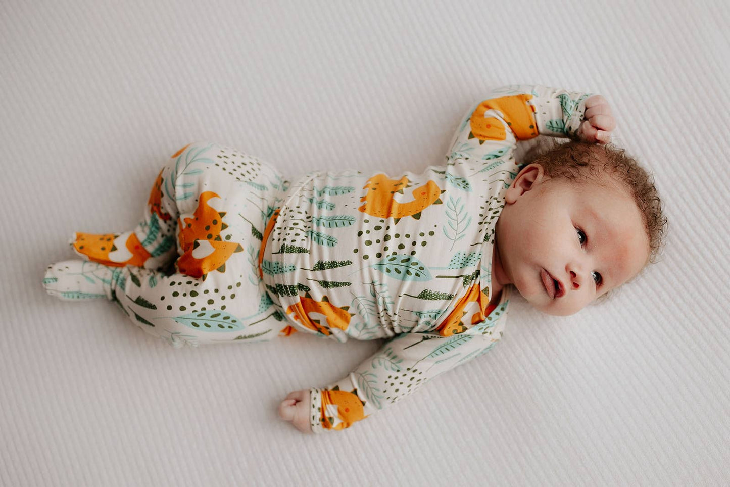 Dinosaur Jammies