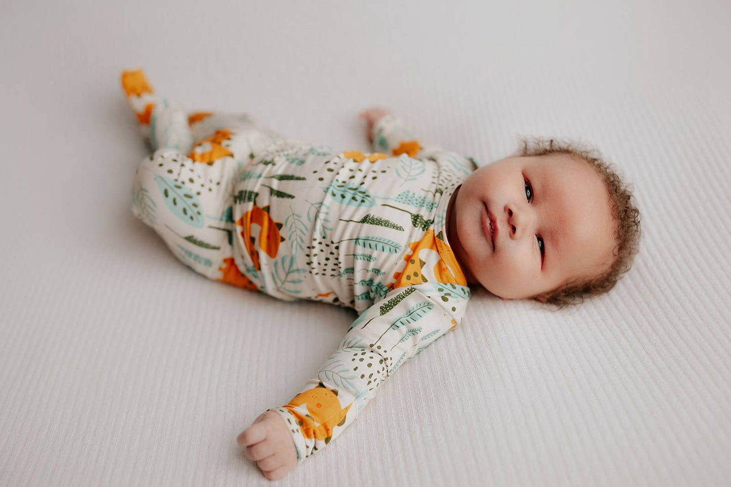 Dinosaur Jammies